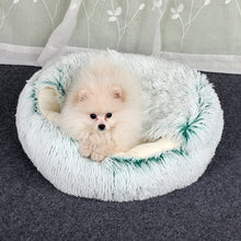 Load image into Gallery viewer, 2-in1 Pet Bed