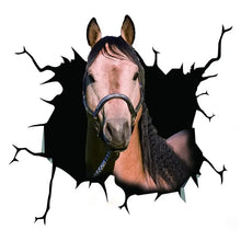 Load image into Gallery viewer, Horse Car Window Sticker