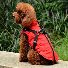 Load image into Gallery viewer, Waterproof Pet Coat With Harness