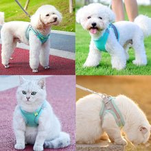 Load image into Gallery viewer, Escape Proof Small Pet Harness Leash Set