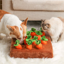 Load image into Gallery viewer, Pet Plush Food Puzzle Toys