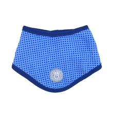 Load image into Gallery viewer, Dog Cooling Bandana