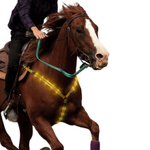 Load image into Gallery viewer, Nylon LED Horse Harness