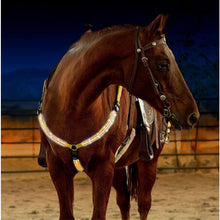 Load image into Gallery viewer, Nylon LED Horse Harness