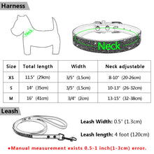 Load image into Gallery viewer, Rhinestone Pet Collar
