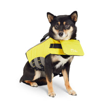 Load image into Gallery viewer, Dog Life Vest Jacket