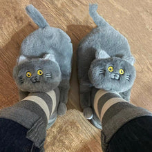 Load image into Gallery viewer, Cuddly Cat Slippers