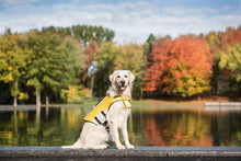 Load image into Gallery viewer, Dog Life Vest Jacket