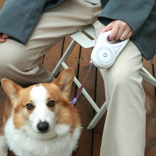 Load image into Gallery viewer, Led Lighted Dog Leash