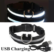 Load image into Gallery viewer, Adjustable LED Pet Collar
